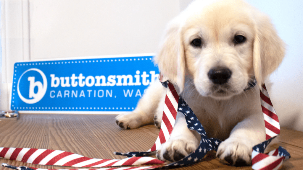 Buttonsmith puppy with dog collar