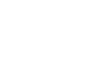 IDEA Award Logo-White